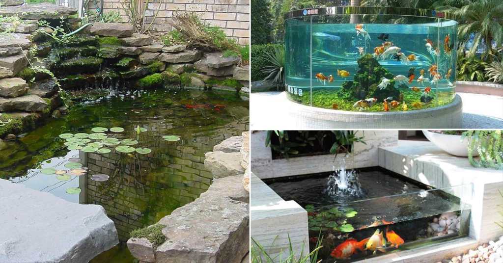 การตกแต่งสวนหลังบ้านด้วยบ่อเลี้ยงปลา