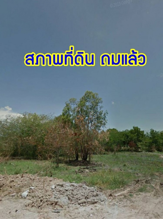 ขายที่ดิน(สีม่วง) 7 ไร่ ราคาถูก อมตะนครเฟส8 พานทอง ชลบุรี