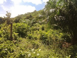 Sale Land near Beach on the lower hill with Chanote Chumphon