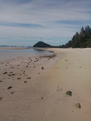 Beautiful land 3 plots land suitable for villa or guest house not far beach No.1 Beach beautiful in Chumphon