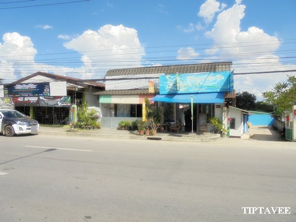 26028 ขายกิจการบ้านเช่า ริมถนนเชียงใหม่-แม่ริม ใกล้ศูนย์ราชการเชียงใหม่ ดอนแก้ว แม่ริม เชียงใหม่ Houses for Sale, Chiangmai-Fang Roadside, Donkaeo, Ma