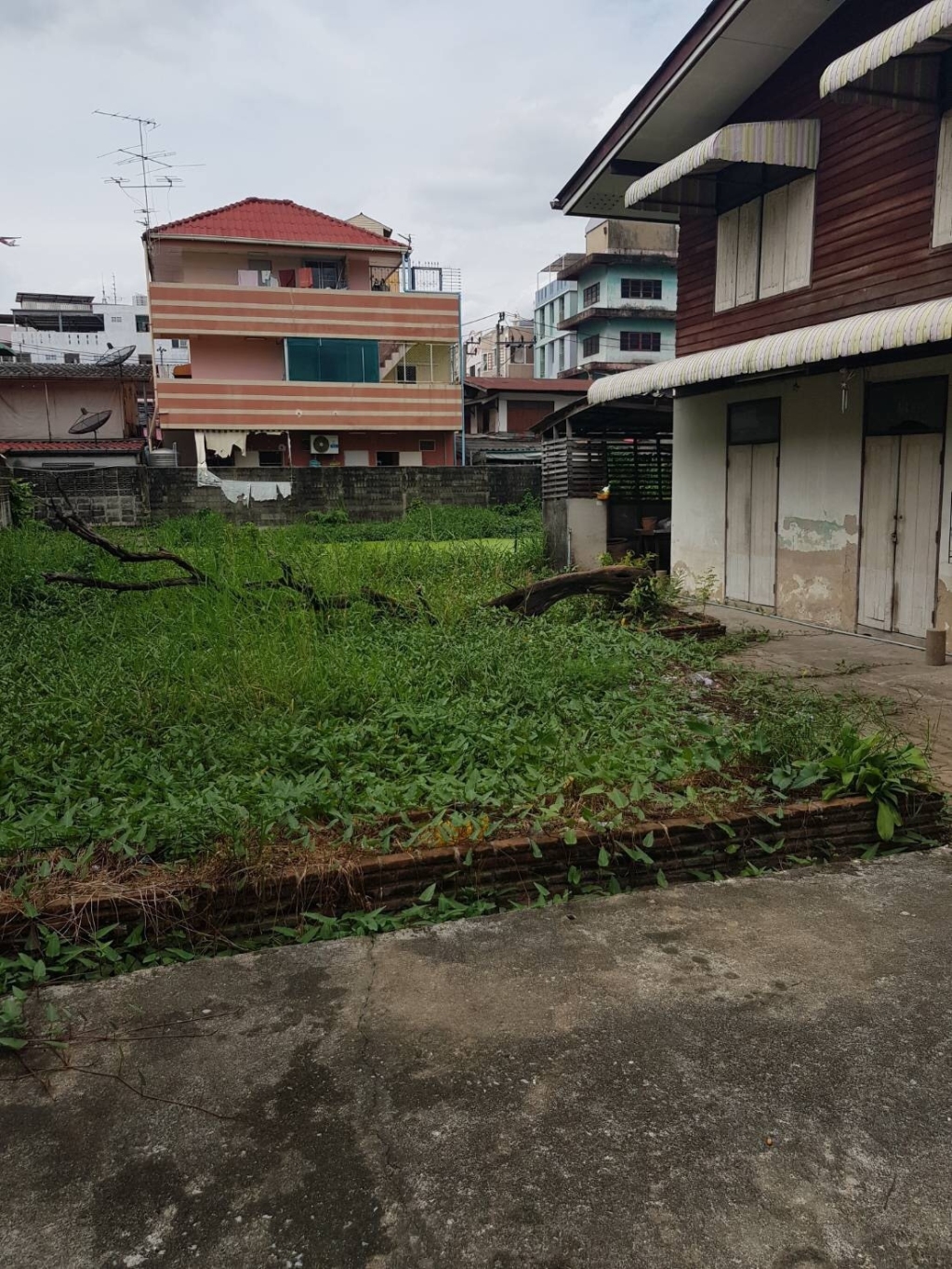 (Urgent Sell) Land in Soi Phaholyothin 55 (Co-Broke Welcome) 