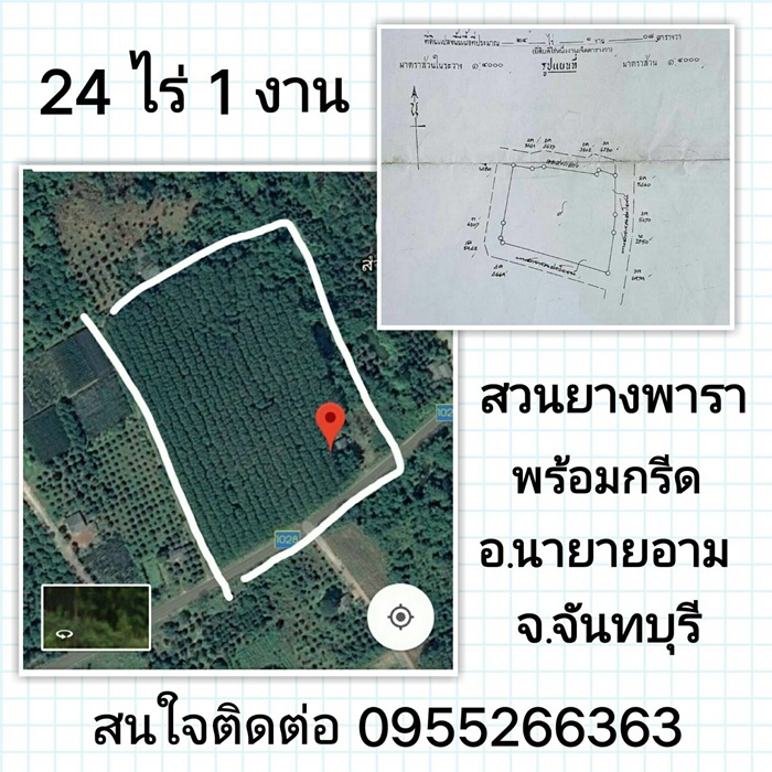 ขายที่ดินพร้อมสวนสวนยาง จันทบุรี 24 ไร่ 1 งาน กรีดได้ตลอดปี