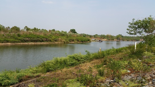 ขายที่ดิน สวยๆ 190 ไร่ ติดริมแม่น้ำมูล อ.คูเมือง บุรีรัมย์ ใกล้ฝายยางบ้านเขว้า